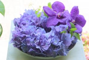 7月に入りました...｜「フラワーショップ花太郎」　（北海道旭川市の花キューピット加盟店 花屋）のブログ