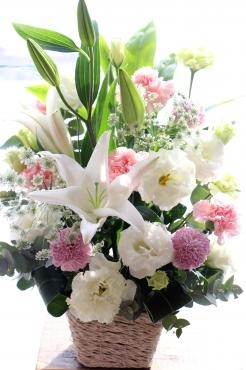 3月に入りました♡｜「フラワーショップ花太郎」　（北海道旭川市の花キューピット加盟店 花屋）のブログ