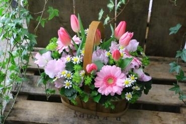チューリップ「フラワーショップ花太郎」（北海道旭川市の花屋）のギャラリー写真